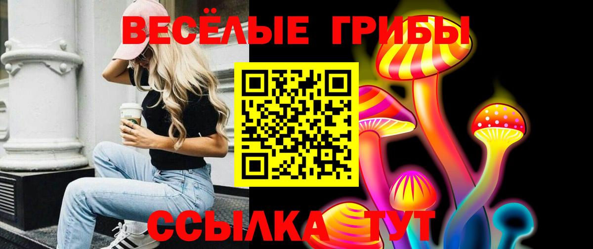 Псилоцибиновые грибы MAGIC MUSHROOMS  купить наркоту  Галлюциногенные грибы мицелий  Ижевск  Вход с VPN 
